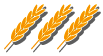wp00000000.png